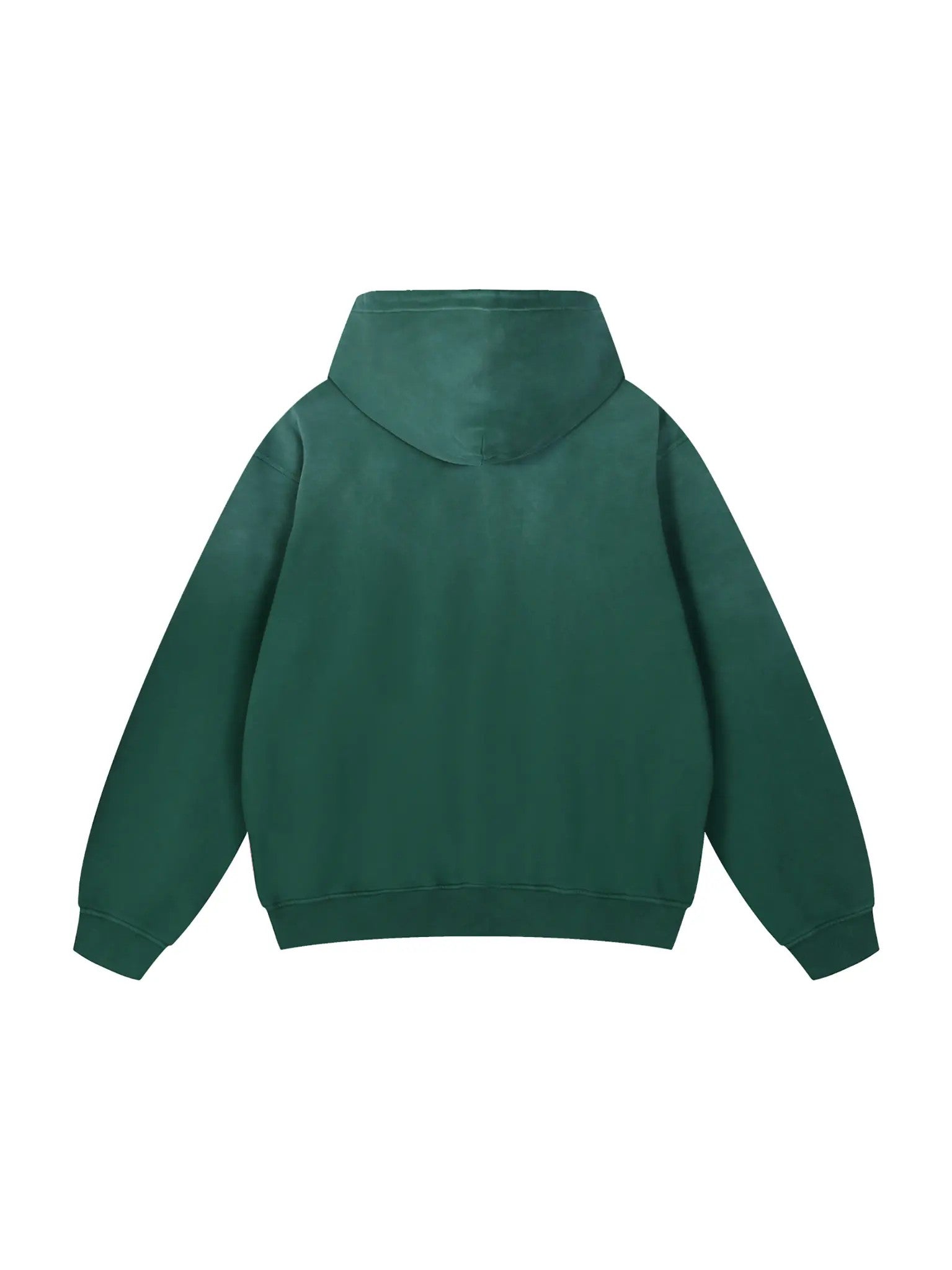 BLSS Heavyweight Hoodie in Olive — back